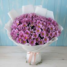 Букет цветов из:  Хризантемы в Алачково