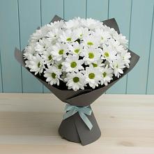 Букет цветов из:  Хризантемы в Алачково