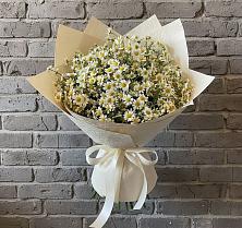 Букет цветов из:  Ромашки в Алачково