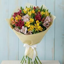 Букет цветов из:  Альстромерии в Алачково