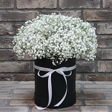Цветочная композиция из Гипсофила в шляпной коробке в Алачково