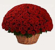 Премиум букет из: Розы в Алачково