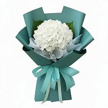 Букет цветов из:  Гортензия в Алачково
